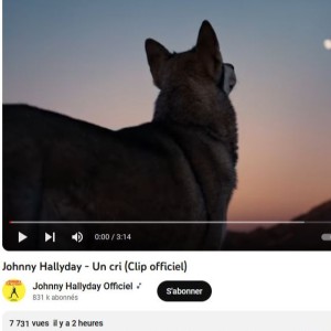 Titre inédit de Johnny Hallyday "Un Cri", tout juste disponible à l'écoute