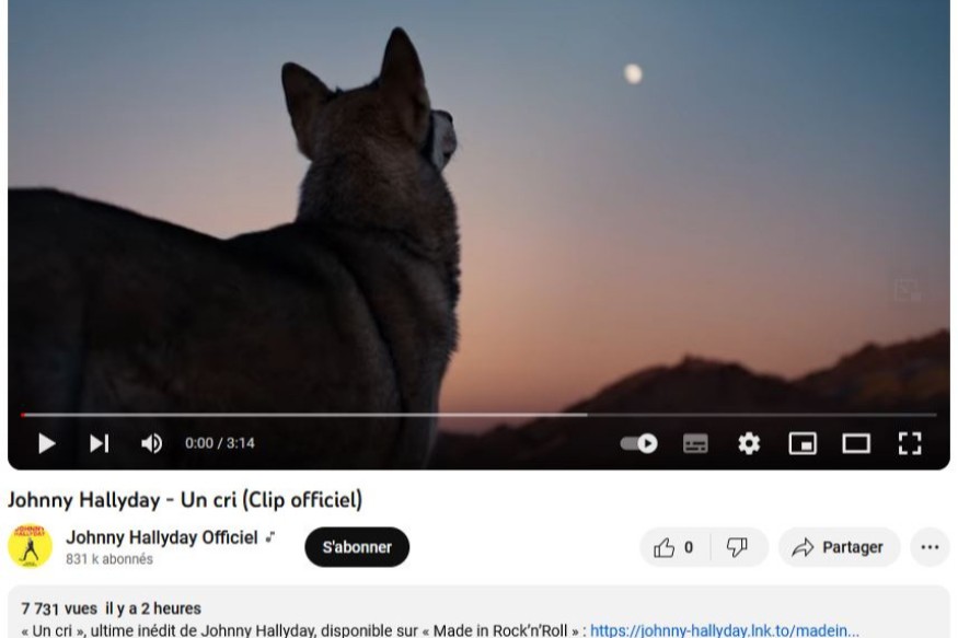 Titre inédit de Johnny Hallyday "Un Cri", tout juste disponible à l'écoute